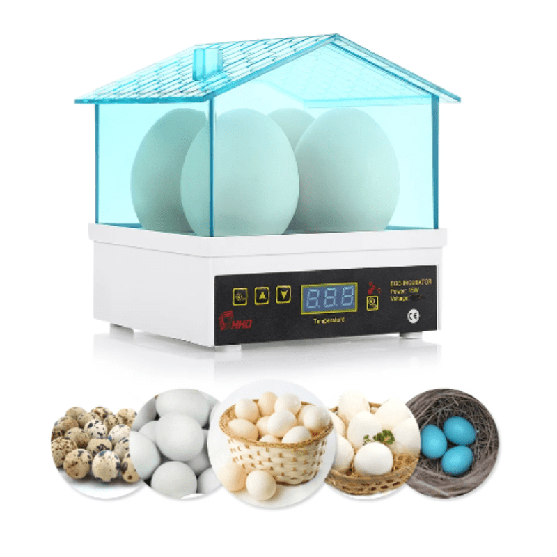 egg incubator, eggs for incubator, egg hatcher, chicken egg incubator







