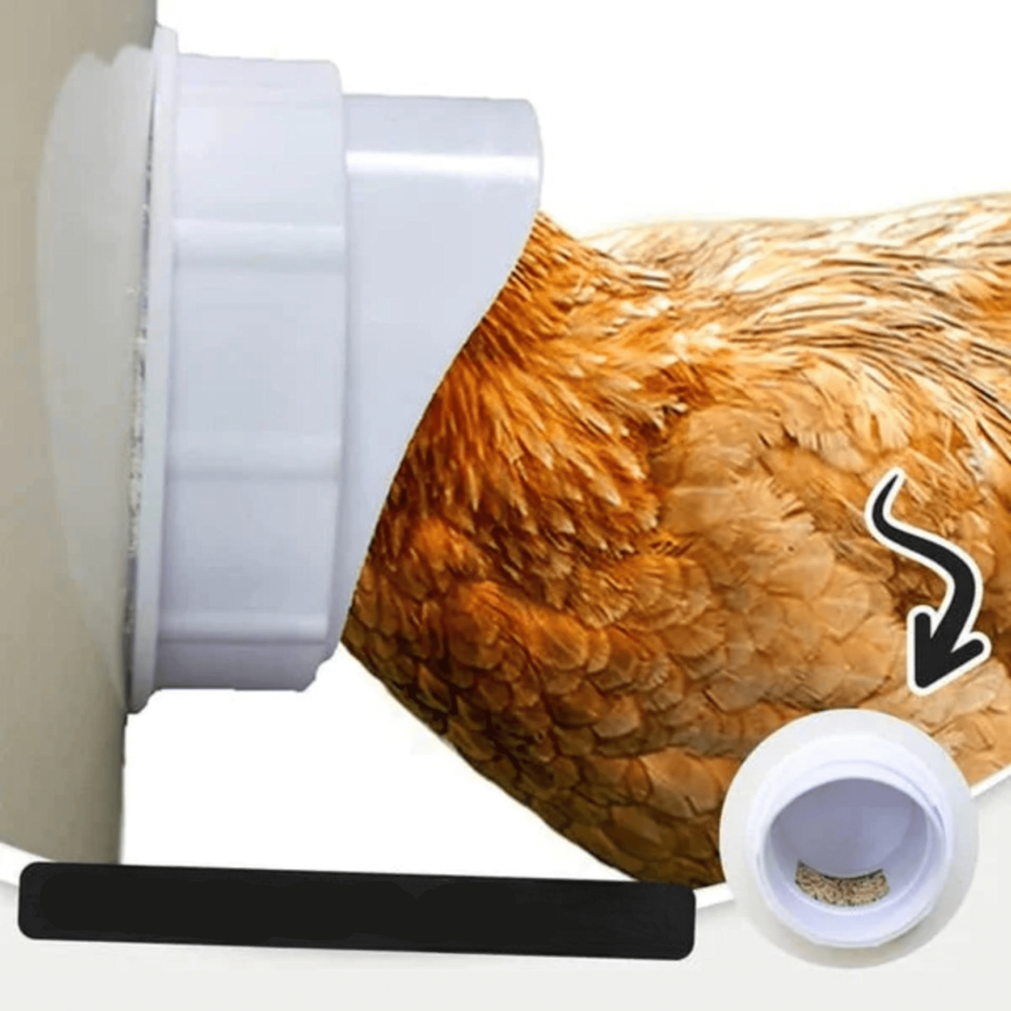 CotCotDistrib Premium Poultry Feeder – No-Waste Feeding System