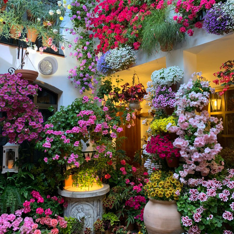 21 Wildflower Mix