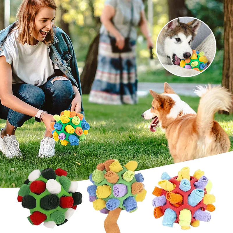 Interactive Treat Game