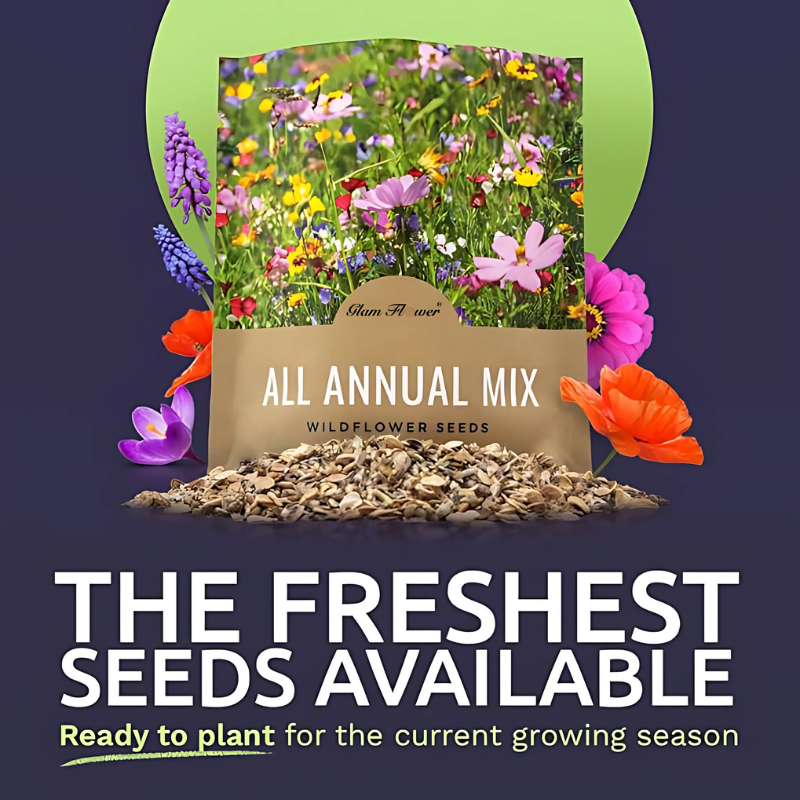Transform any landscape with this wildflower mix, featuring a vibrant blend of mixed wildflower seeds. Perfect for wild flower seeding, this flower seed mix offers a stunning variety that brings beauty and biodiversity to your garden. Enjoy colorful blooms and attract pollinators with easy-to-grow wildflower seeds.